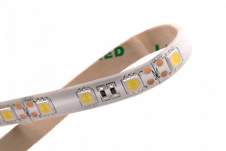 Купить Лента SWG SWG560-12-14.4-NW-65