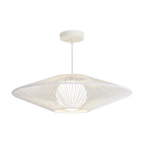 Фото Подвесной светильник Freya FR5405PL-01W1