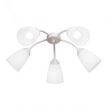 Фото Накладная люстра Vitaluce V3187/5PL