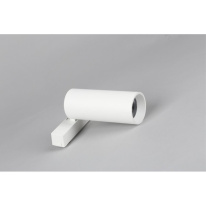 Купить с доставкой по Москве и России Светильник на шине APLOYT APL.0114.10.18