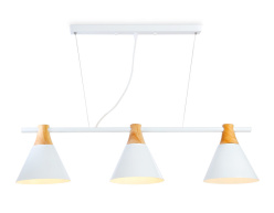 Фото Подвесной светильник Ambrella Light TR8196