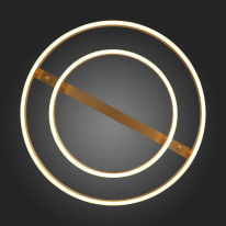 Купить с доставкой по Москве и России Накладной светильник ST-Luce SL944.202.02