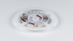 Купить Лента DesignLed DSG2196-24-NW-33