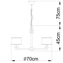 Подвесная люстра ARTE Lamp A3990LM-6CC Цена на Подвесная люстра ARTE Lamp A3990LM-6CC