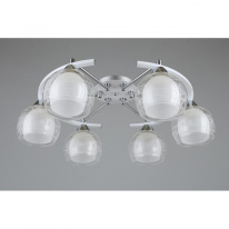 Купить Накладная люстра Omnilux OML-28313-06