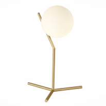 Фото Настольная лампа ST-Luce SL1148.304.01