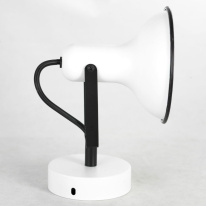 Спот Lussole LSP-8801 в интернет магазине Гет Лайт