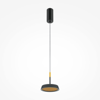 Купить Подвесной светильник Maytoni MOD041PL-L15GB3K