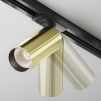 Купить с доставкой по Москве и России Светильник на шине Maytoni Technical TR021-1-12W4K-W-BBS