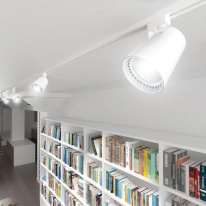 Купить с доставкой по Москве и России Светильник на шине Feron 41607