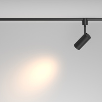 Цена на Maytoni Technical TR163-1-10W3K-M-B