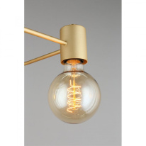 Купить с доставкой по Москве и России Накладная люстра APLOYT APL.911.07.03