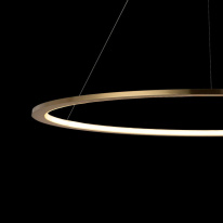 Купить с доставкой по Москве и России Подвесной светильник LOFT IT 10014XL