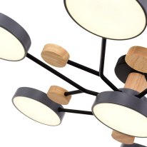 Люстра на штанге Evoluce SLE6006-702-07 в интернет магазине Гет Лайт