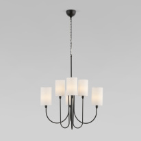 Фото Подвесная люстра Eurosvet 60164/6 черный