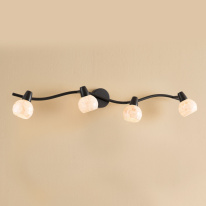 Фото Спот Citilux CL520545