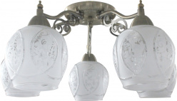 Фото Накладная люстра TOPLIGHT TL7370X-05AB