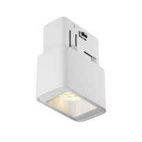 Фото Светильник на шине Maytoni Technical TR100-2-2W3K-S-W