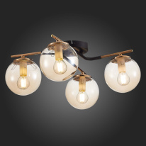 Купить с доставкой по Москве и России Накладная люстра Evoluce SLE106902-04