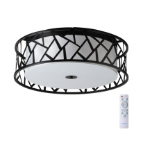 Фото Накладной светильник Sonex 7700/60L