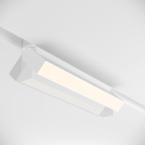 Купить с доставкой по Москве и России Светильник на шине Maytoni Technical TR075-2-20W4K-W