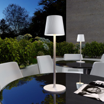 Купить Настольная лампа Elektrostandard Mist белый (TL70220)