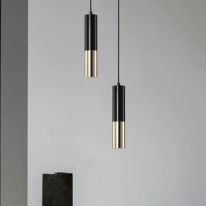 Купить с доставкой по Москве и России Подвесной светильник ImperiumLoft 74231-22