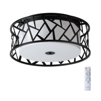 Фото Накладной светильник Sonex 7700/40L