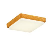 Фото Накладной светильник Evoluce SLE200202-01