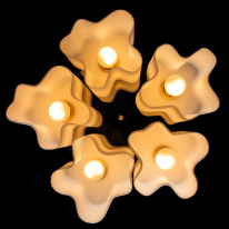 Купить Накладная люстра ARTE Lamp A3479PL-5CC