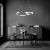 Купить с доставкой по Москве и России Подвесной светильник Escada 10230/2LED White