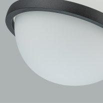 Цена на Подвесной светильник Favourite 4502-1P