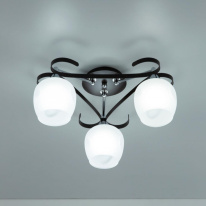 Купить Накладная люстра Citilux CL171134