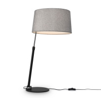 Фото Настольная лампа Maytoni MOD613TL-01B