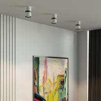 Купить Накладной светильник Elektrostandard 25049/LED 12W 4000К белый/чёрный