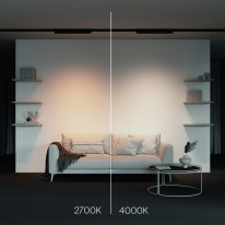 Купить с доставкой по Москве и России Maytoni Technical TR196-3-20W4K-B