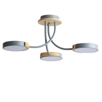 Люстра на штанге LUMION 5655/54CL Фото Люстра на штанге LUMION 5655/54CL
