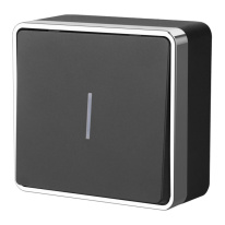 Фото Выключатель Werkel W5010135