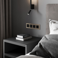 Цена на Рамка Werkel W0043111