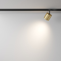 Светильник на шине Maytoni Technical TR088-1-GX53-MG в интернет магазине Гет Лайт