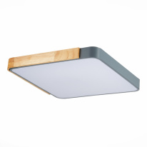 Цена на Накладной светильник Evoluce SLE201272-01