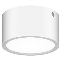 Цена на Накладной уличный светильник Lightstar 380163