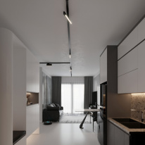 Цена на Светильник на шине Elektrostandard Garda Черный 20W 4200K (85025/01) трехфазный