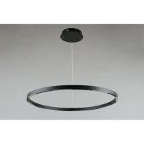 Купить Подвесной светильник APLOYT APL.051.03.43