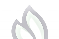 Бра Natali Kovaltseva LED LAMPS 81108/1W в интернет магазине Гет Лайт