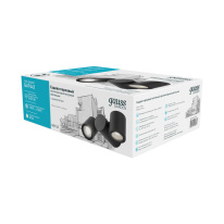 Цена на Светильник настенный Gauss GD152