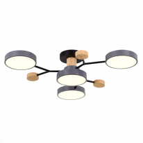 Фото Люстра на штанге Evoluce SLE6006-702-04