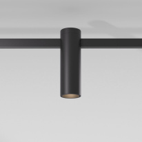 Купить с доставкой по Москве и России Светильник на шине Elektrostandard Трековый светильник 85114/01