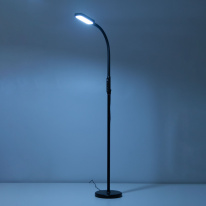 Цена на Торшер Citilux CL804021