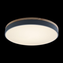 Купить Накладной светильник LOFT IT 10001/36 Grey